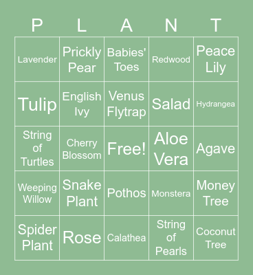 Plant Bingo! Bingo Card