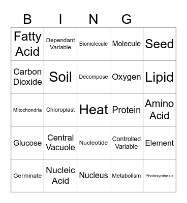 Pumpkin Unit Vocabulary Bingo Card