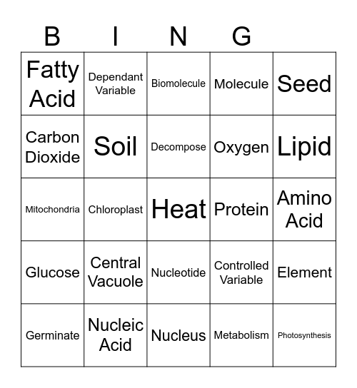 Pumpkin Unit Vocabulary Bingo Card