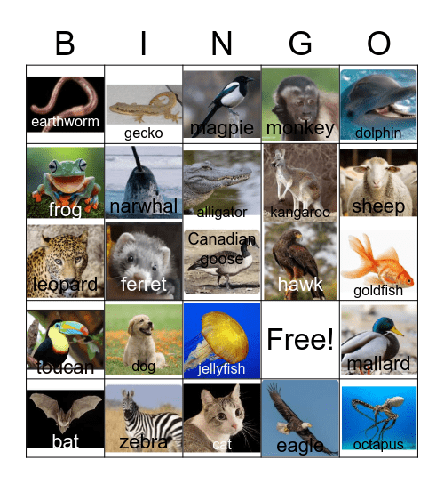 Animal Bingo Card