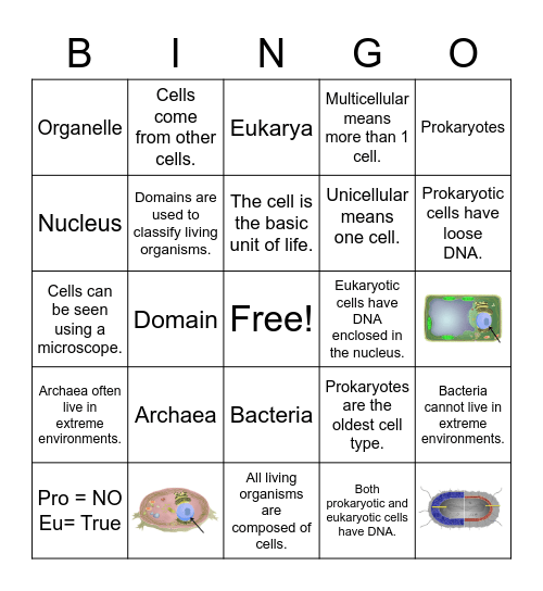 Domains Bingo Card