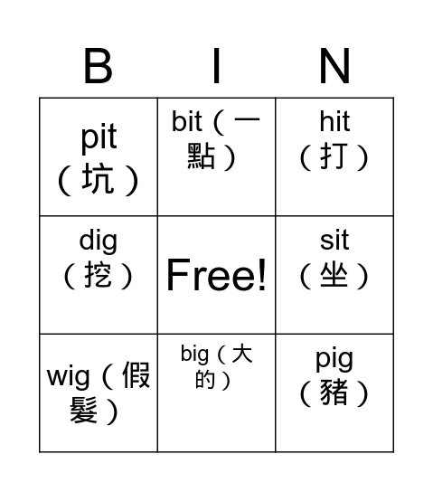 DG3L2 Phonics -ig -it Bingo Card