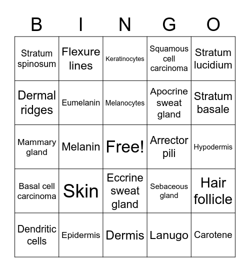 W3 HB PASS Bingo Card