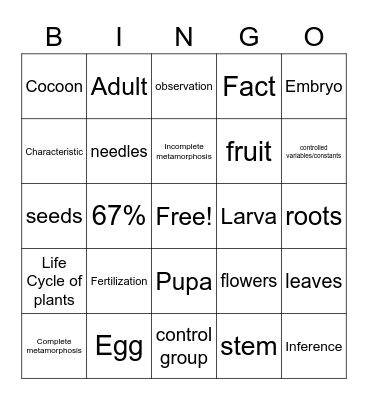 Life Cycles Bingo Card