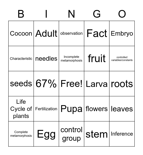 Life Cycles Bingo Card