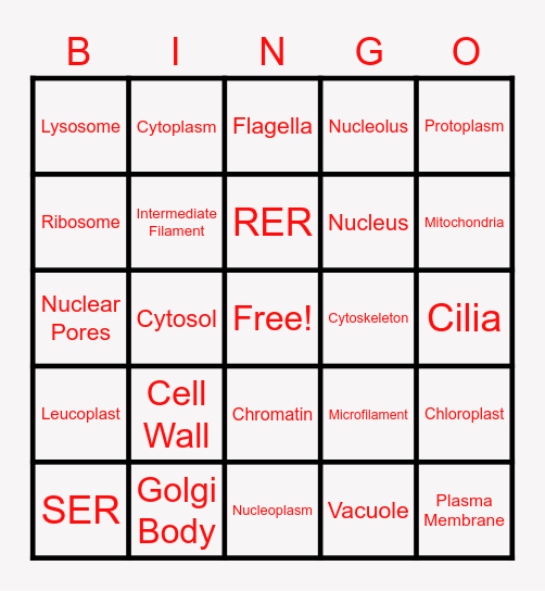 Organelle Bingo Card
