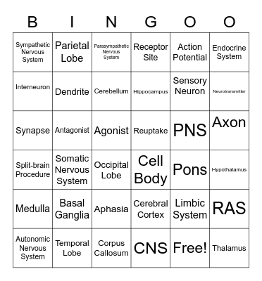 Brain Bingo Card