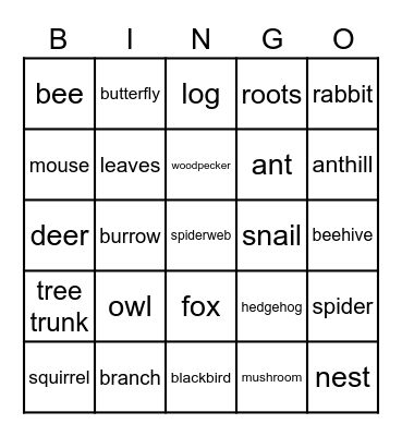 Exploring nature Bingo Card