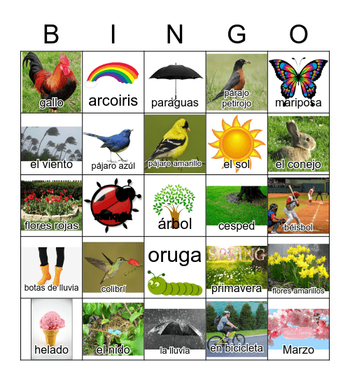 la primavera Bingo Card