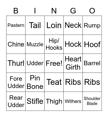 Dairy Cattle Parts Bingo Card