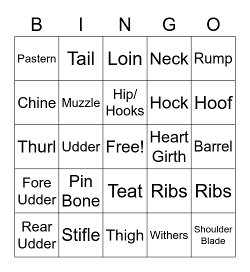 Dairy Cattle Parts Bingo Card