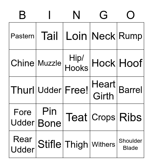 Dairy Cattle Parts Bingo Card