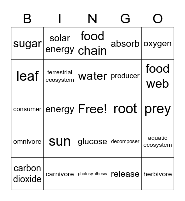 VOCAB REVIEW #1 Bingo Card