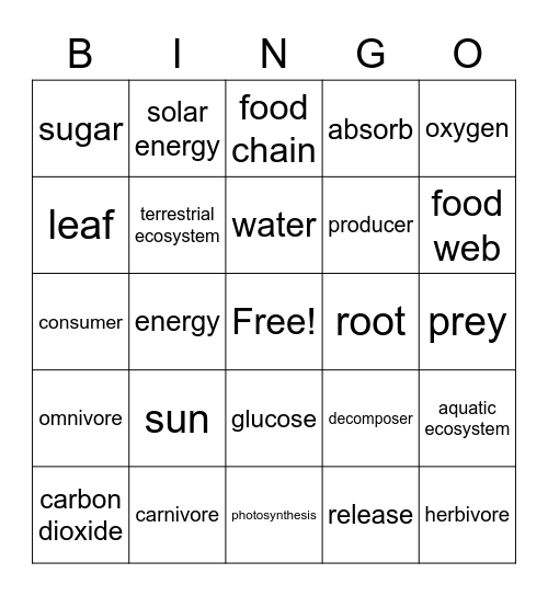 VOCAB REVIEW #1 Bingo Card