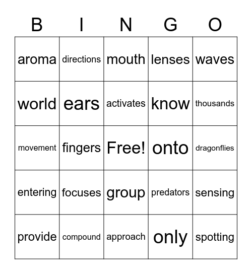 A Cool Eyeful Bingo Card