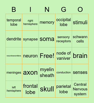Brain Bingo Card