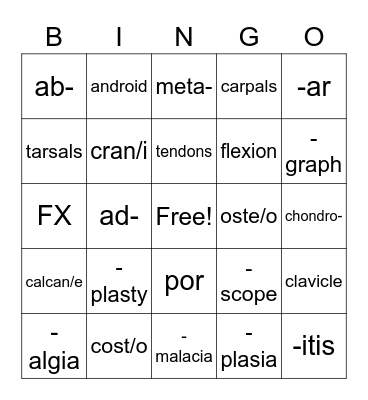 Skeletal System Bingo Card