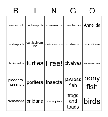 Animal Phylum Bingo Card