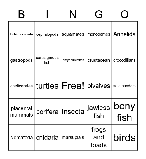 Animal Phylum Bingo Card