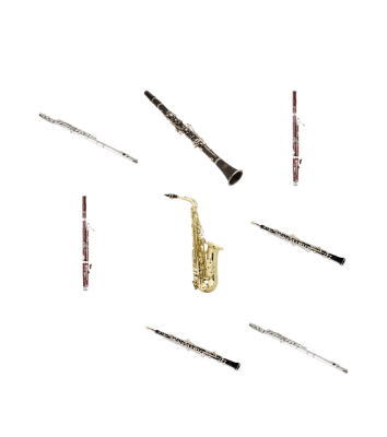 Woodwind Family Bingo Card