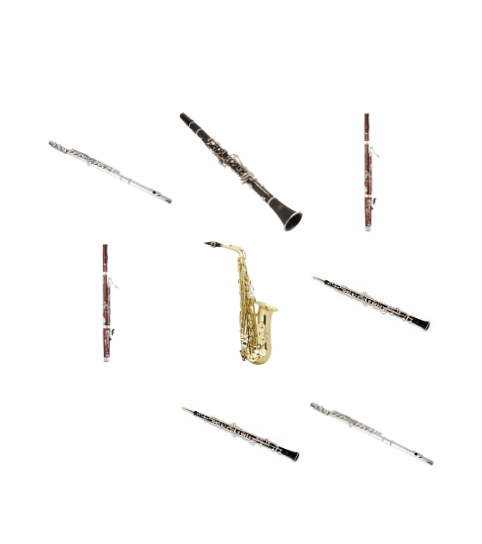 Woodwind Family Bingo Card