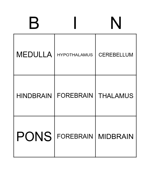 BRAIN REGIONS AND THEIR STRUCTURES Bingo Card