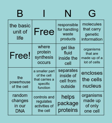 Cell Organelles Bingo Card