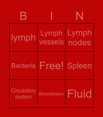 The lymphatic system Bingo Card