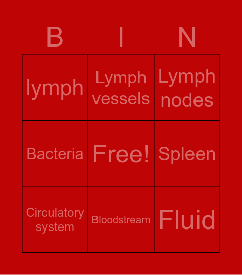 The lymphatic system Bingo Card