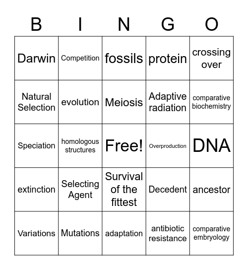 Darwin Bingo Card