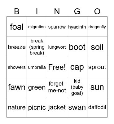 Dream Team Bingo Card