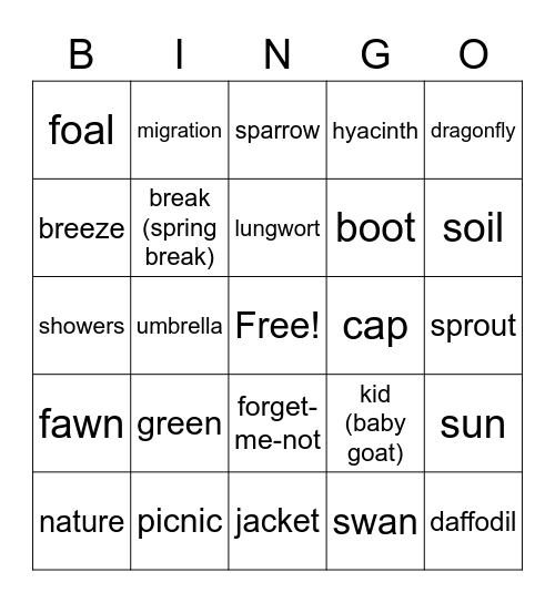 Dream Team Bingo Card