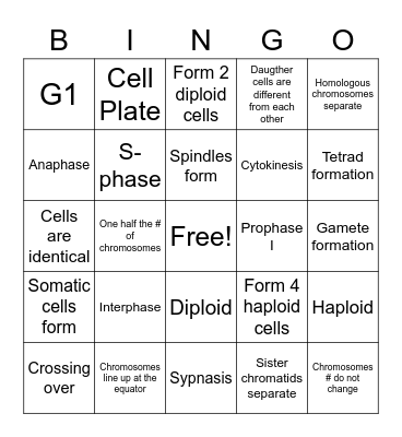 Mitosis & Meiosis Bingo Card