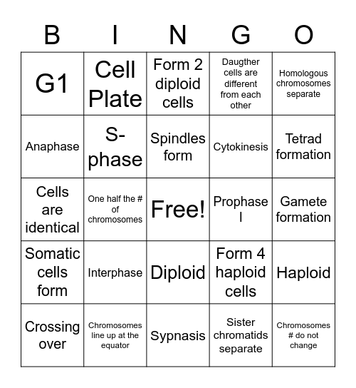 Mitosis & Meiosis Bingo Card
