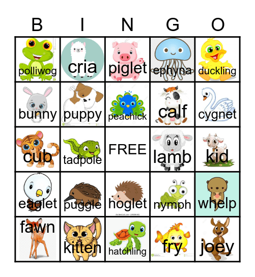 Baby Animals Bingo Card