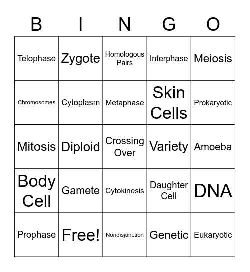 Meiosis Bingo Card