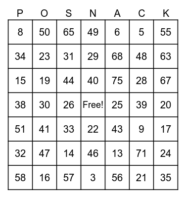 Posnack Passover Bingo Card