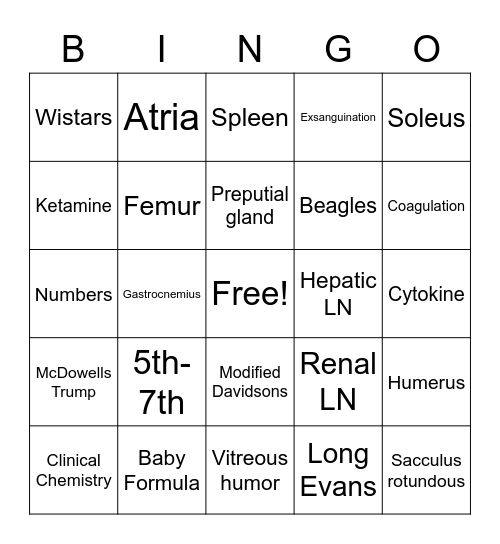 Necropsy Bingo Card