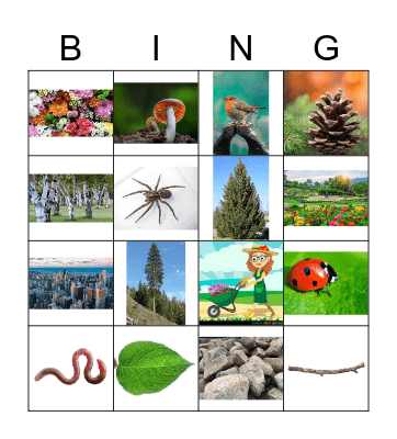 NATURE BINGO Card