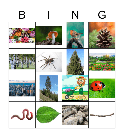 NATURE BINGO Card