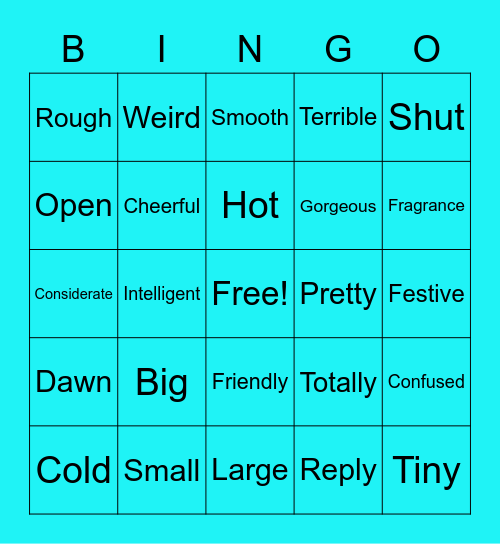 Synonyms & Antonyms Bingo Card