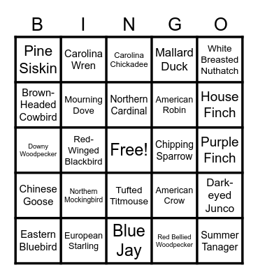 BIRD BINGO Card