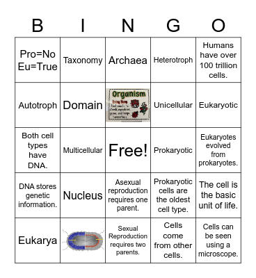 Domains Bingo Card V2 Bingo Card