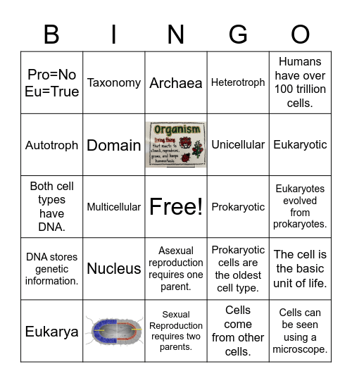 Domains Bingo Card V2 Bingo Card