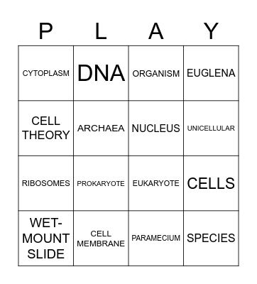 Cells Vocabulary! Bingo Card