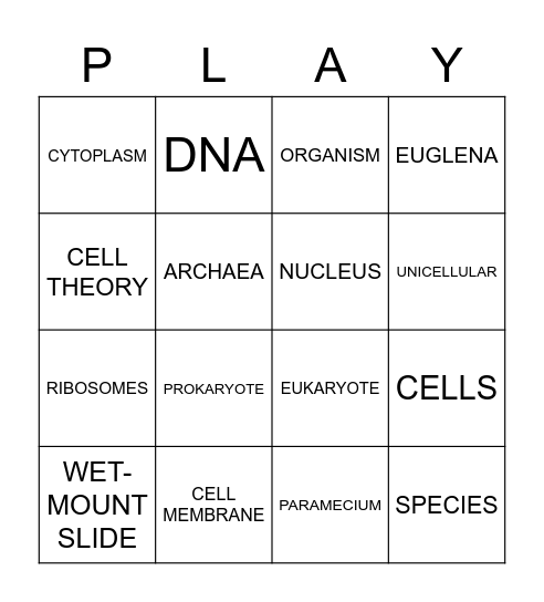 Cells Vocabulary! Bingo Card