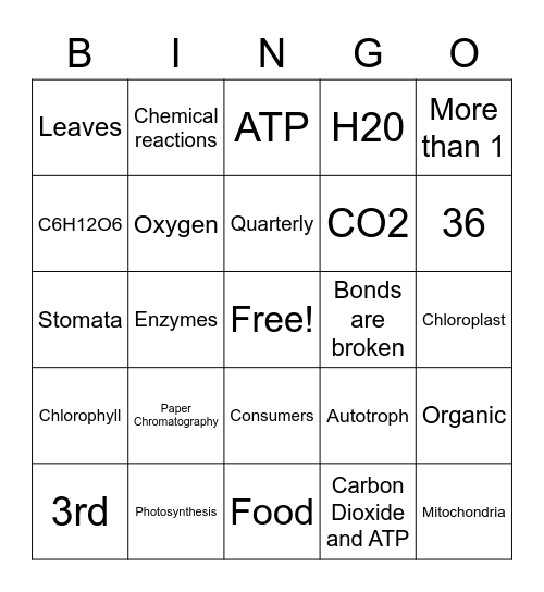 Photosynthesis & Cellular Respiration Bingo Card