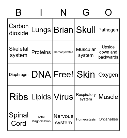 Quarterly #3 Bingo Card