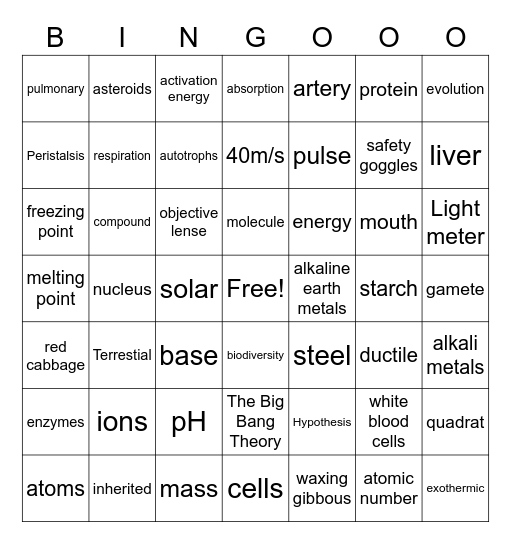 Science Revision Bingo Card