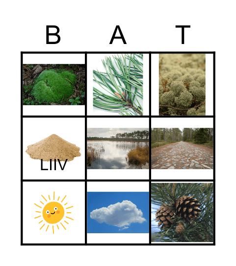 MATKAL Bingo Card